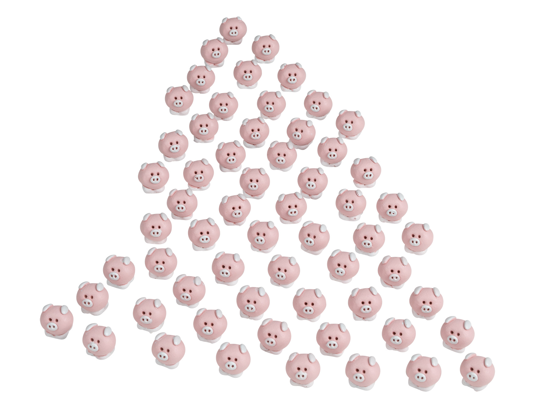 Schweinchen in der Grube - Buche