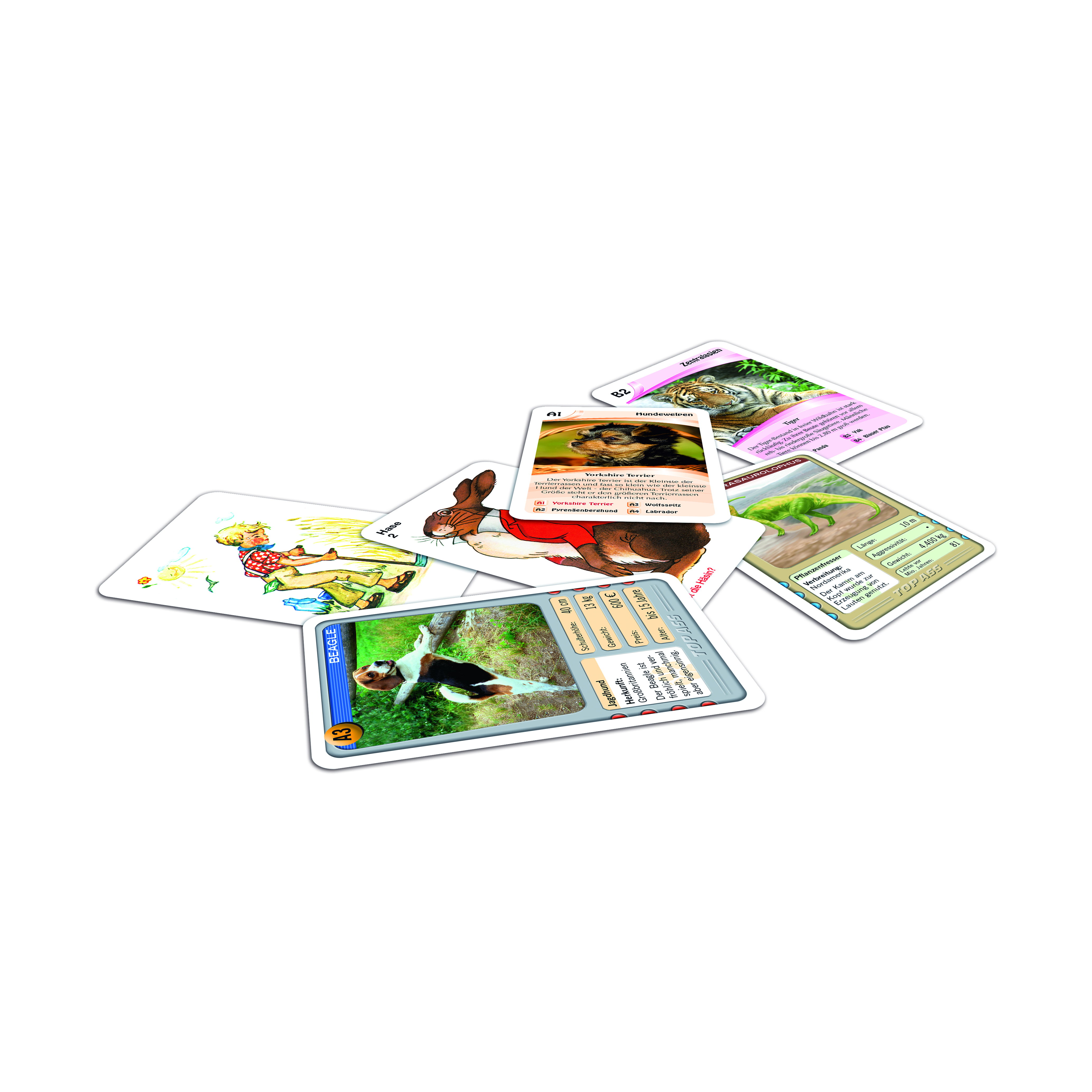 ASS, Quartettmix, animals, black peter, pack of 36